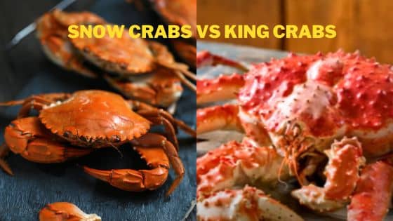 snow crabs vs king crabs