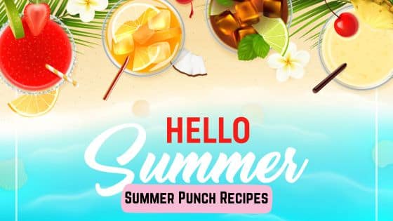 Summer Punch Recipes
