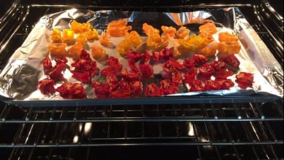 dehydrating peppers in air fryer